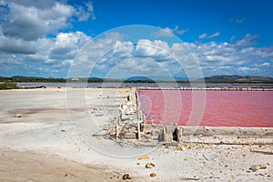 Red salt production in Puerto Rico lake photo