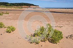 Red Sand Beach of North Rustico PEI photo