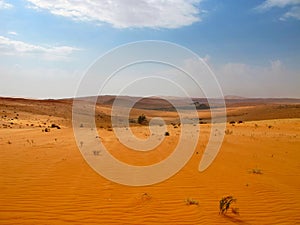 Red sand desert