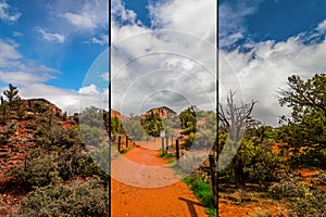 Red sand and desert vegetation near Sedona, AZ, USA