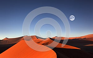 Red sand dune, Sossusvlei, Namibia photo