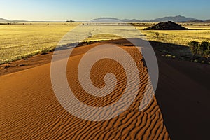 Red sand dune and yellow dry grass