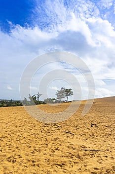 Red Sand Dunes, also known as Golden Sand Dunes, is located near Hon Rom beach, Mui Ne, Phan Thiet city