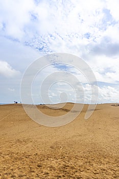 Red Sand Dunes, also known as Golden Sand Dunes, is located near Hon Rom beach, Mui Ne, Phan Thiet city