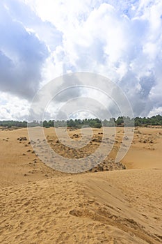 Red Sand Dunes, also known as Golden Sand Dunes, is located near Hon Rom beach, Mui Ne, Phan Thiet city