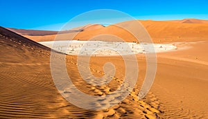 Red sand dunes in Deadvlei, Sossusvlei, Namib-Naukluft National Park, Namibia