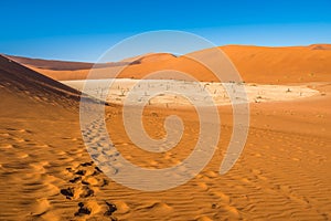 Red sand dunes in Deadvlei, Sossusvlei, Namib-Naukluft National Park, Namibia