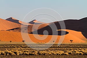 Red sand dunes of the Sossusvlei in Namibia