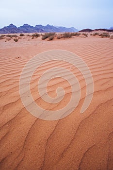 Red sand waves in the Wadi Ram desert. Jordan