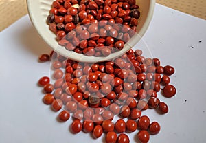 Red sandalwood or Red Lucky seeds or Ratangunja or Adenanthera pavonina L.