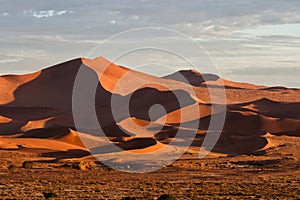 Red sanddunes of the Sossusvlei area