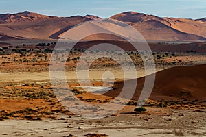 Red sanddunes of the Sossusvlei area