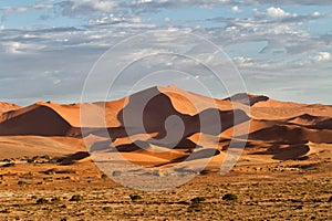 Red sanddunes of the Sossusvlei area