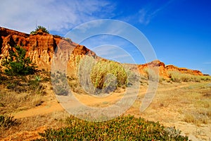 Red sandstone cliffs on the beach the Praia da Rocha Baixinha Nascente. Region Faro, Algarve, Portugal