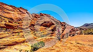 Red Sandstone Cliffs of the Calico Hiking Trail in Red Rock Canyon National Conservation Area, NV, USA