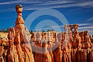 Red Sandstone hoodoos in Bryce canyon national park, US