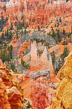 Red sandstone hoodoos in Bryce Canyon National Park in Utah, USA