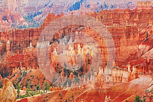 Red sandstone hoodoos in Bryce Canyon National Park in Utah, USA