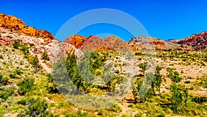 Red Sandstone Mountains from the Ash Canyon Trail in Red Rock Canyon National Conservation Area, Nevada, USA