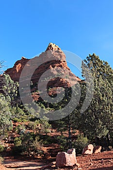 The red sandstone mountains of Sedona rising above the evergreen trees of Cococino National Forest