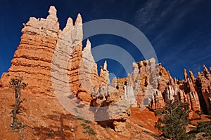 Red sandstone towers in Bryce Canyon NP, Utah