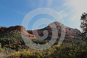 The red sandstone and white limestone mountains of Sedona, evergreen trees, shrubs and bare trees