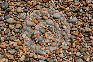 red sandstones of the Ladram bay on the English Channel coast