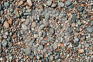 red sandstones of the Ladram bay on the English Channel coast