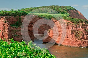 red sandstones of the Ladram bay on the English Channel coast