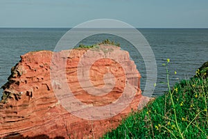 red sandstones of the Ladram bay on the English Channel coast