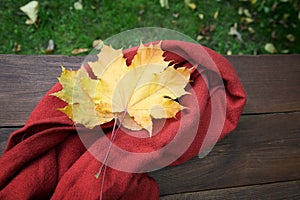 Red scarf and yellow maple leaves on a table