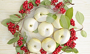 Red schisandra and white apples. Still life with ripe schizandra and apples