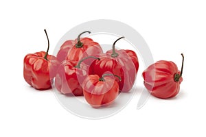 Red Scotch bonnet chili peppers photo