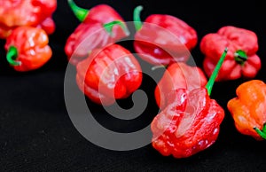 Red SCOTCH BONNET PEPPER. Close up of Atarodo pepper isolated on Black Background.