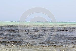 Red Sea beach Red sea Egypt