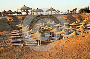 Red Sea Coast. Beach with umbrellas, sun beds and palm trees