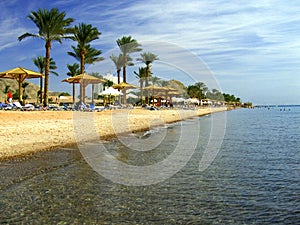 Red Sea coast, Sinai, Egypt