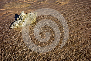 Red sea ripples rock