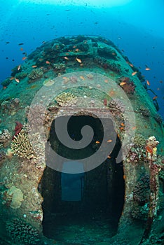 Red Sea shipwreck Gianiss D