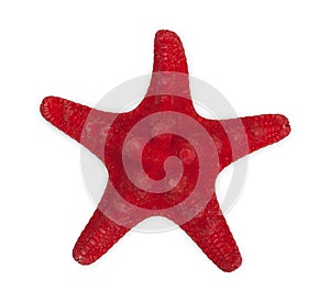 Red sea star isolated on white bacground