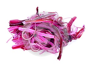 Red seaweed isolated on white