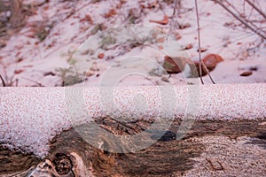 Red Sediment Settles on Snowy Log