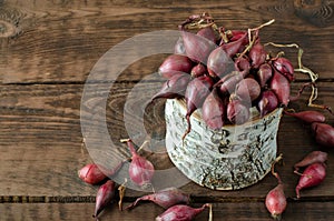 Red seeding onion in birchen pot on wooden background