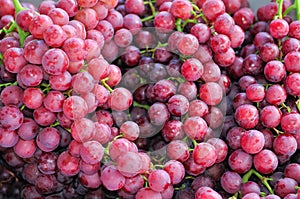 Red Seedless Grapes photo