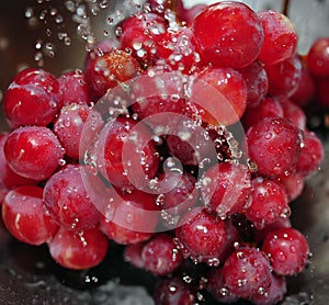 Red Seedless Grapes photo