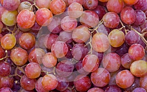 Red Seedless Grapes photo