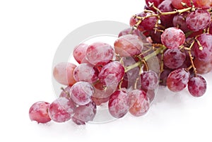 Red Seedless Grapes photo