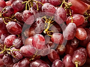 Red seedless grapes with stem background upclose