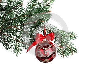 Red shiny Christmas ball on fir tree branch against white background