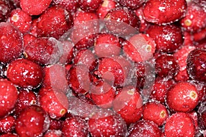 Red shiny cranberries covered with sugar